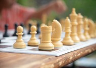 顶级象棋选手花钱买赢背后的深层原因探究