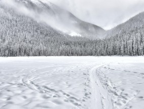 湖南雪舞纷飞，大米般的美丽奇迹天降人间