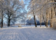 冰雪奇缘，许愿氛围中的神秘魅力