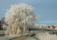 东北极寒天气下的雪中公交车